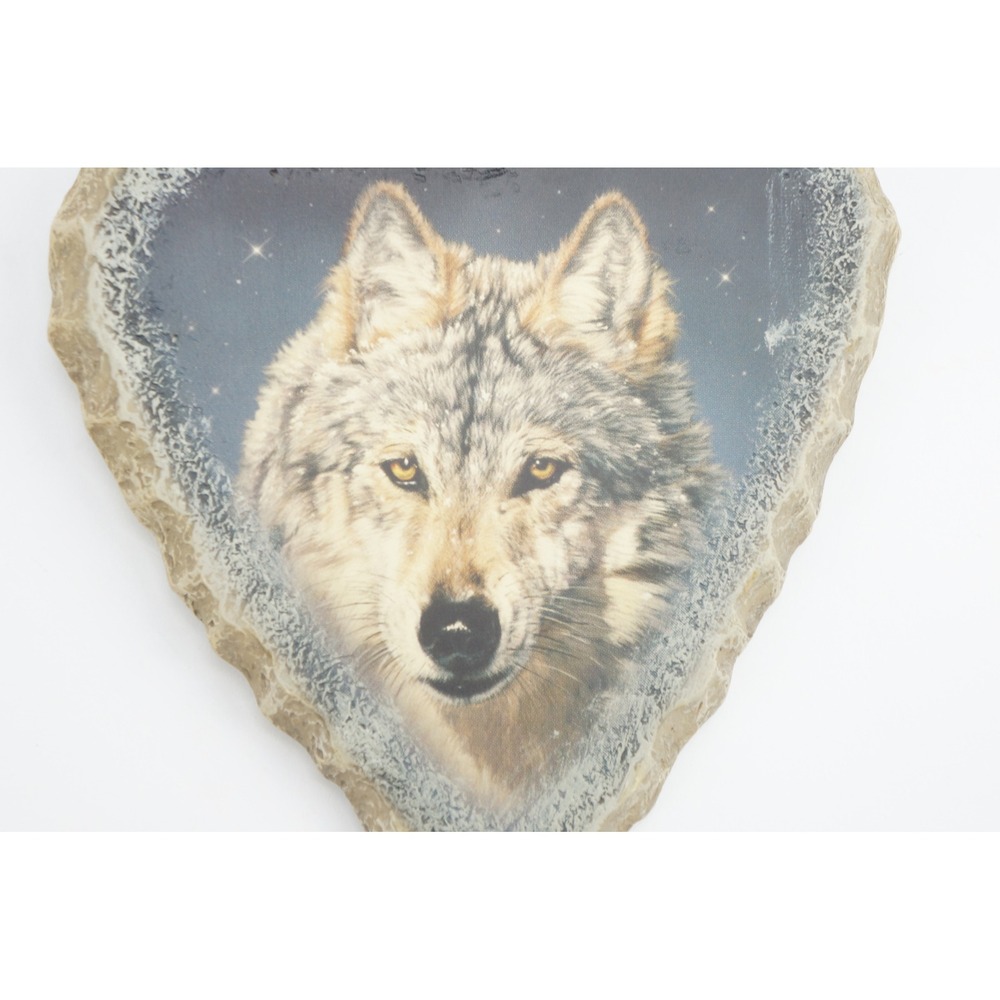 Bradford Exchange Mystic Guardian Wolf‎ Arrowhead Wall Plaque Vivi Crandall EUC - Picture 3 of 5